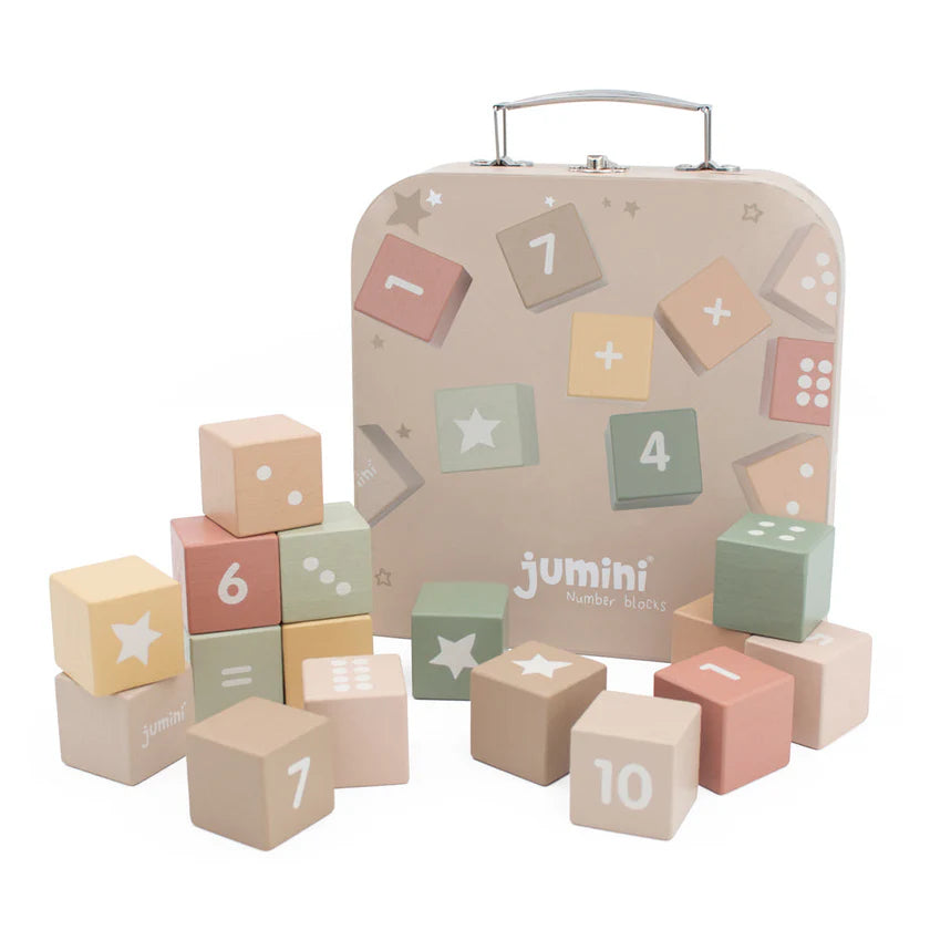 Wooden Number Block Set in Case