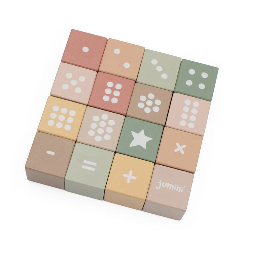 Wooden Number Block Set in Case