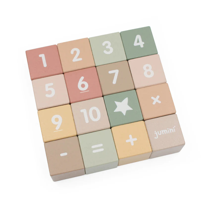 Wooden Number Block Set in Case