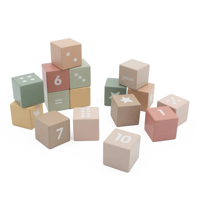 Wooden Number Block Set in Case