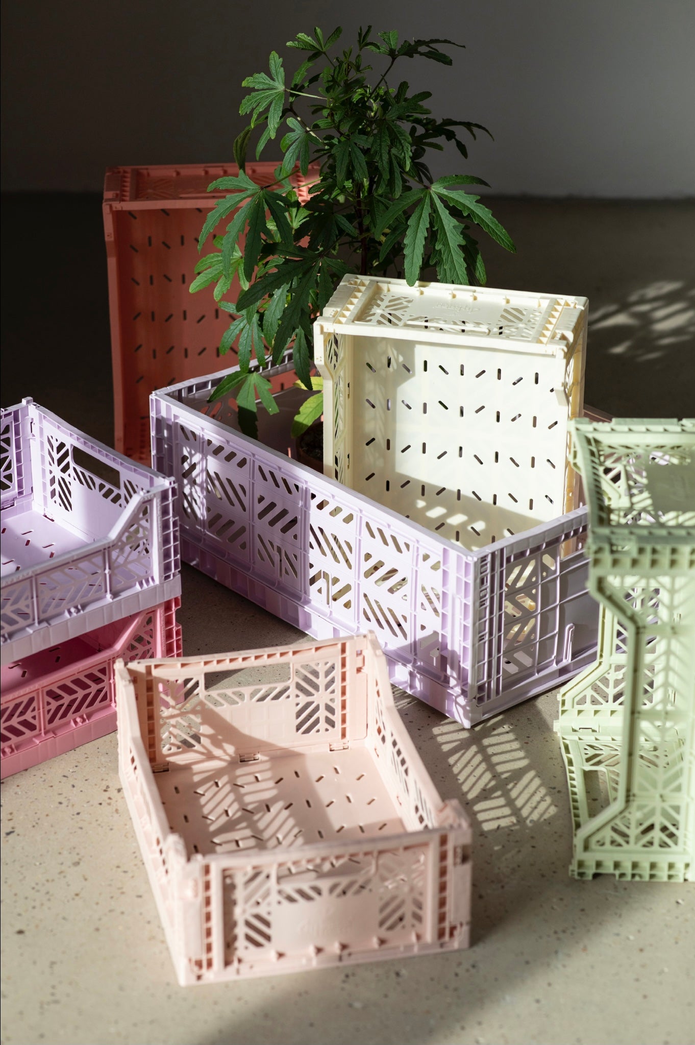 Aykasa Folding Crate, Mini, Coconut Milk, home storage, nursery storage, playroom storage, Nottinghamshire stockist, indepdend kids brand, sustainable