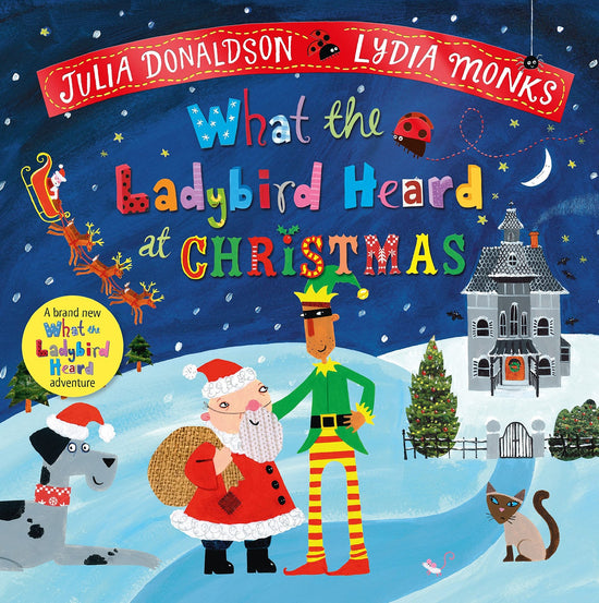 What The Ladybird Heard At Christmas | Julia Donaldson
