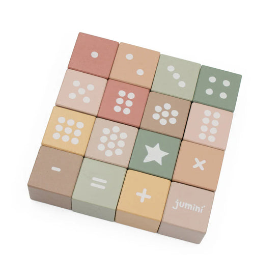 Wooden Number Block Set in Case