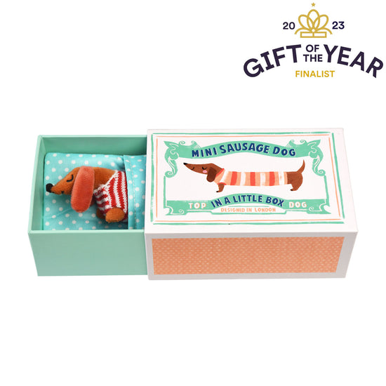 Mini Sausage Dog in a Gift Box