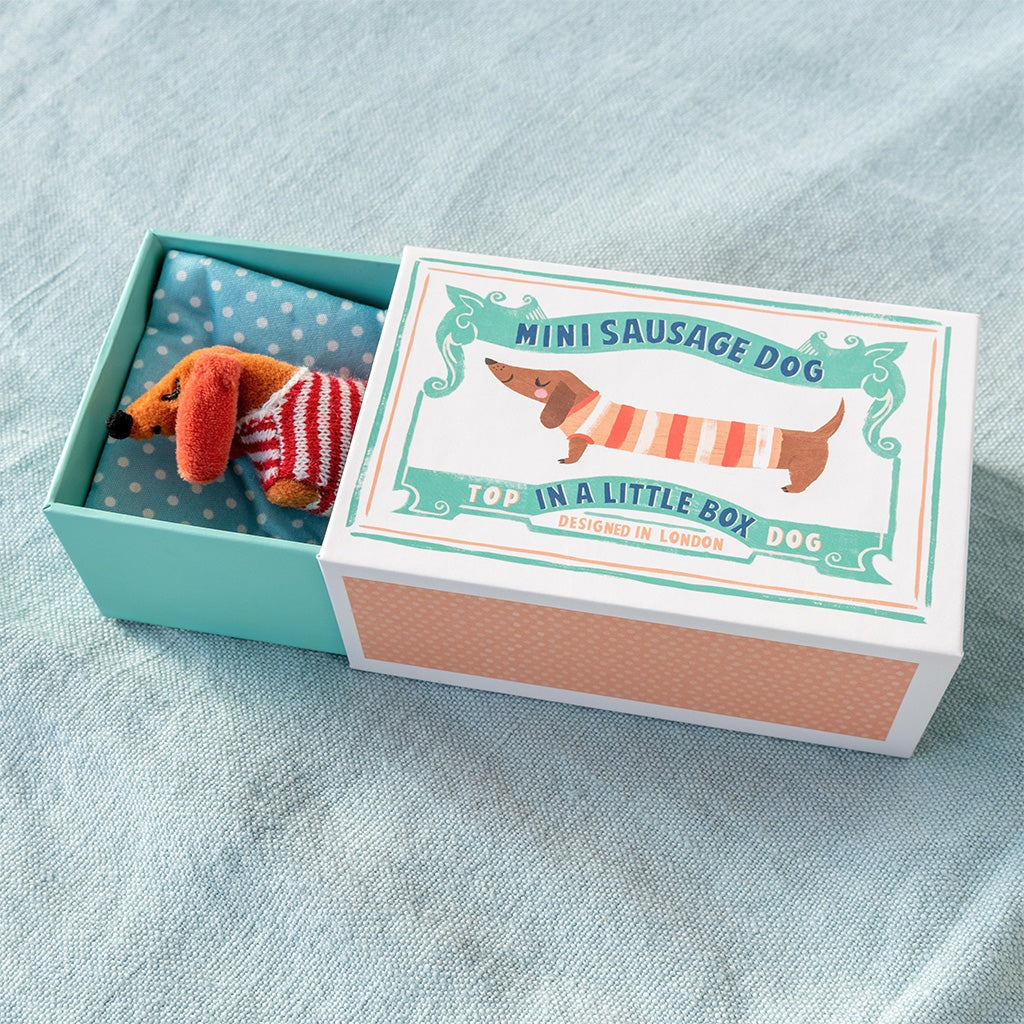 Mini Sausage Dog in a Gift Box