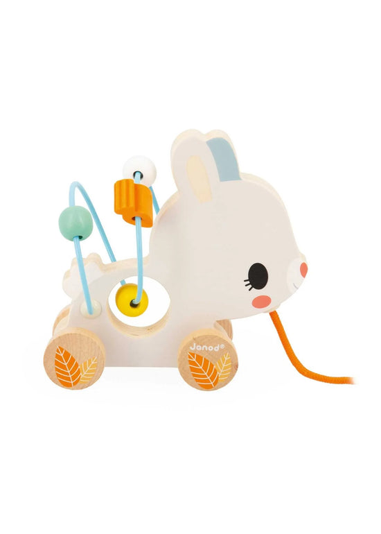 Janod Pull Along Looping Animal Toy