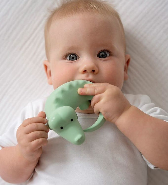 Alf & Co is a mind land based children’s store and they are stockist of the Tikiri Natural Rubber Crocodile teething rattle 