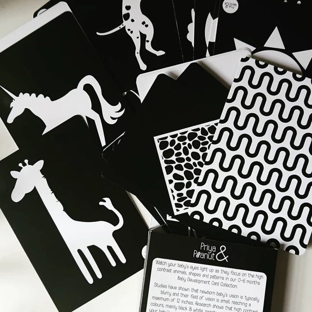 Load image into Gallery viewer, Black and white sensory cards, sensory flashcards, flashcards, black and white sensory, baby sensory, nottingham kids shop, midlands baby shop
